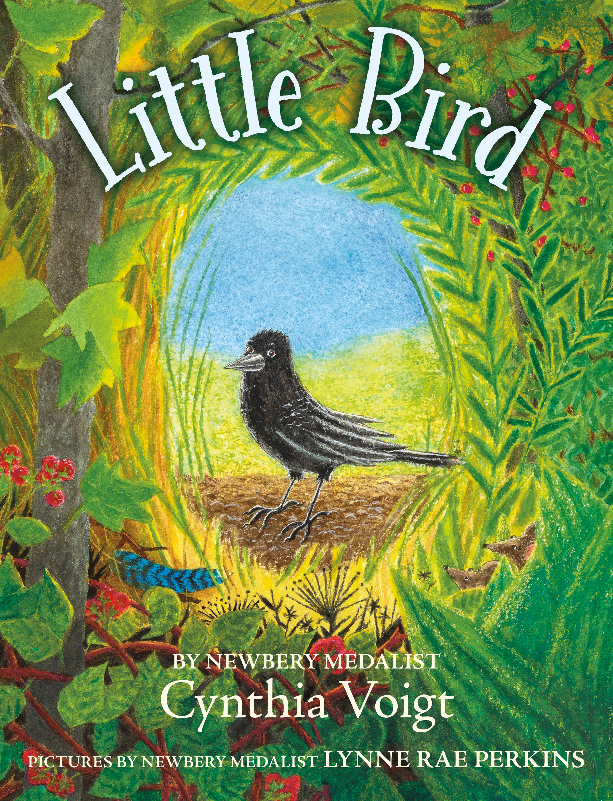 Cynthia Voigt's Little Bird | Lynne Rae Perkins, image size:2144x2800
